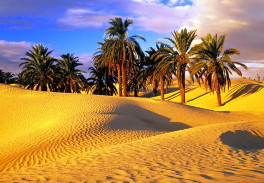 Excursion à Douz au départ Djerba