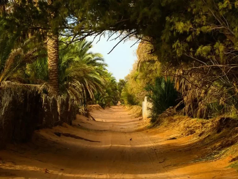 Au départ de Djerba : Circuit 2 Jours Ksar Ghilane