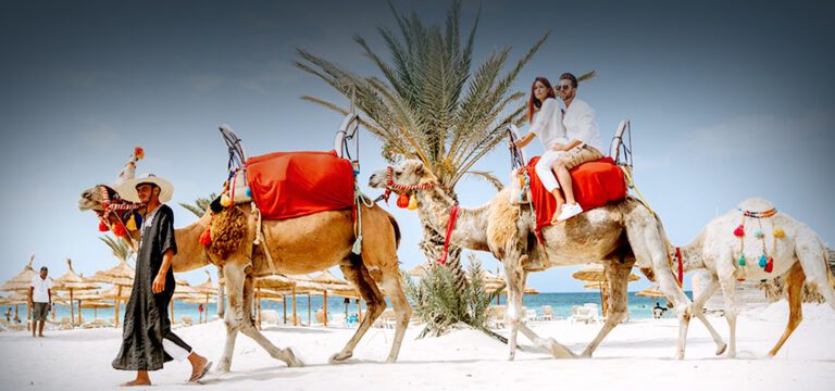 Djerba: Exploration guidée du Lagon Bleu en montant à dos de chameau à Djerba