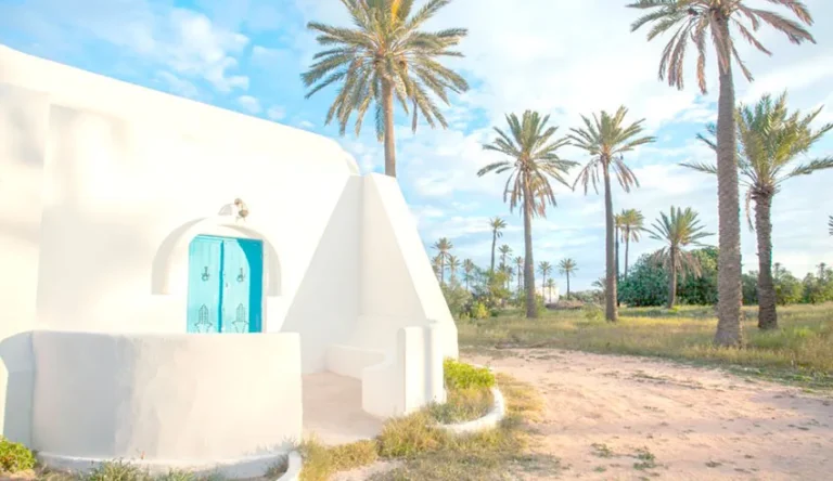 Activités, Excursions, circuits, chauffeurs et guides au départ de Djerba