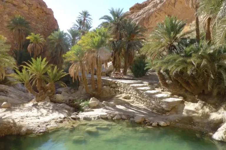 Excursion à Tozeur : découvrir les oasis de montagne