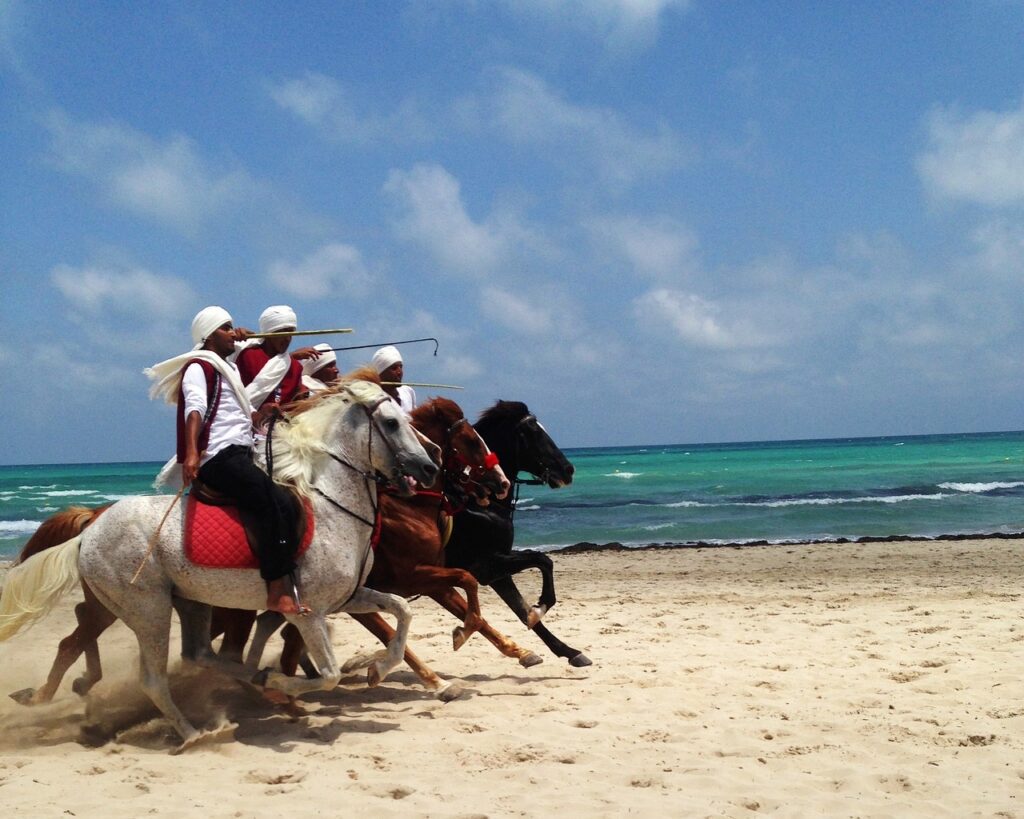 Programme d&rsquo;Excursions à Djerba