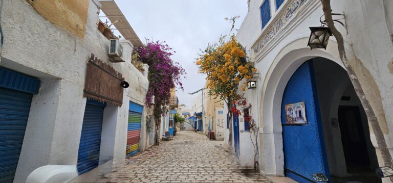Les Excursions à Faire à Djerba