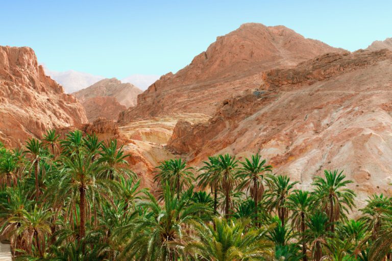 Excursions d’une Journée à Djerba