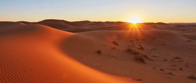 Excursion dans le Désert Tunisien