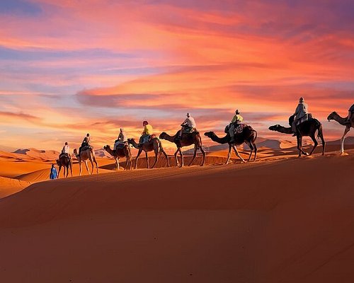 sorties au départ de Djerba
