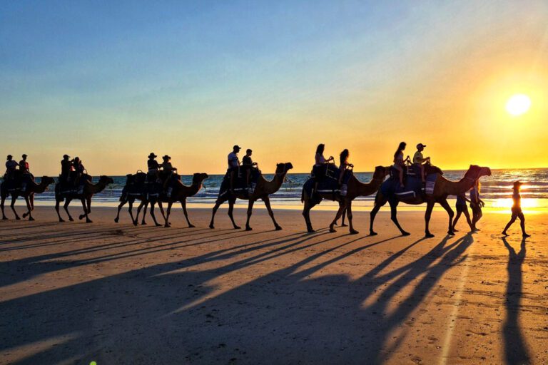 L&rsquo;île de Djerba : Un Paradis au Cœur de la Méditerranée