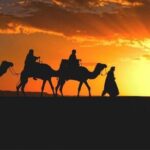 des activité a faire à Djerba