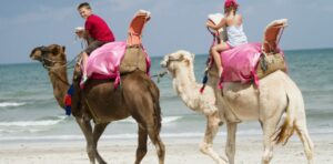 des activités à djerba