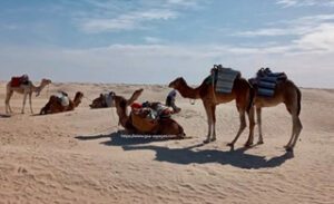 excursion à Zarzis