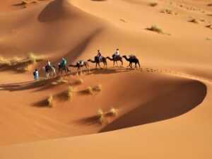 excursion dans le désert tunisien
