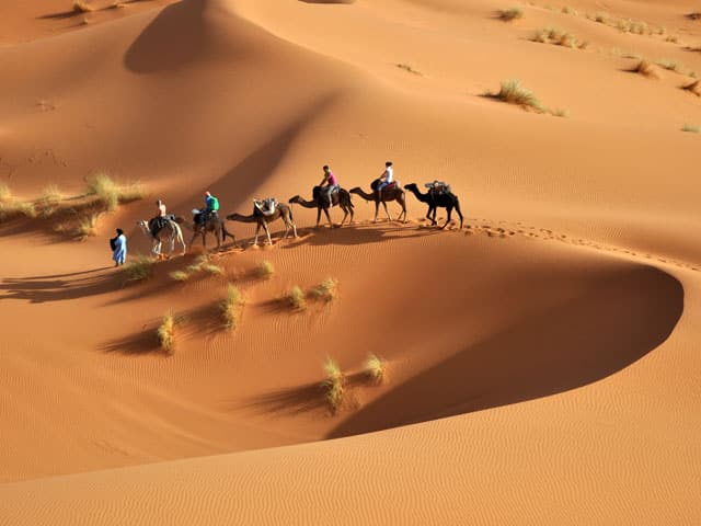 Guide pratique Djerba