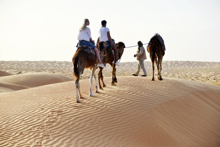 Excursions et Activités au Départ de Djerba