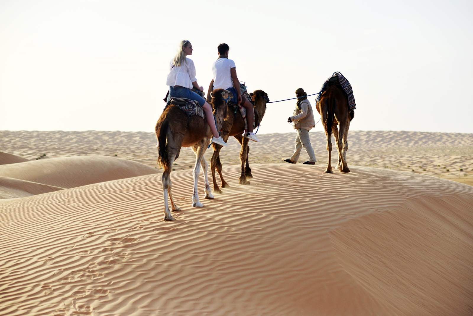 excursions a djerba