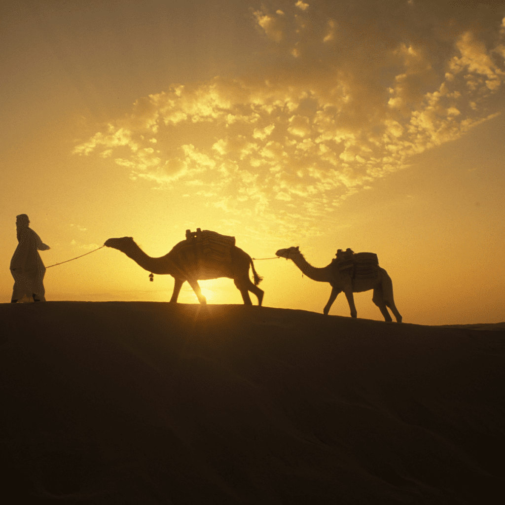 Découvrez les Merveilles du Sud Tunisien