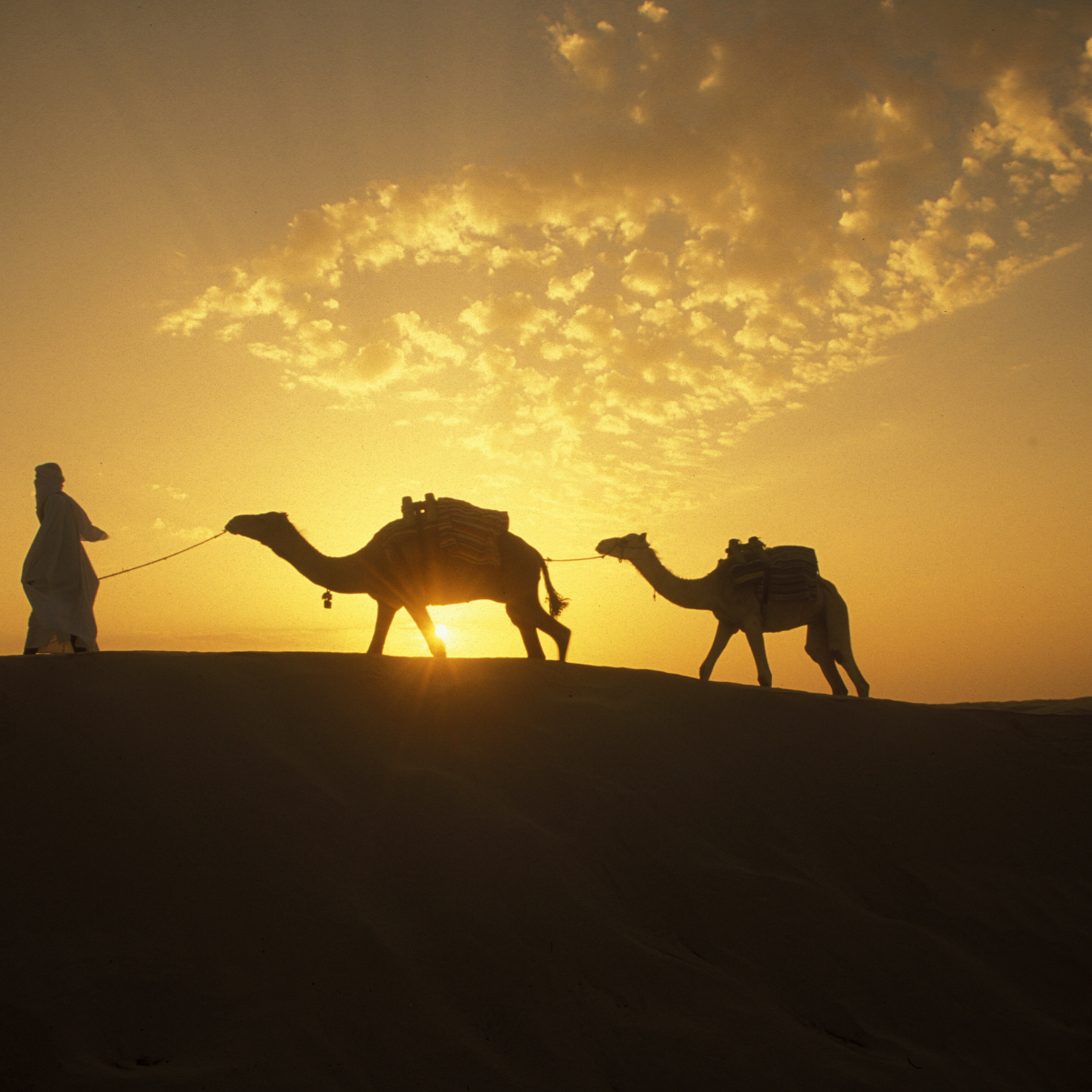 le désert en Tunisie