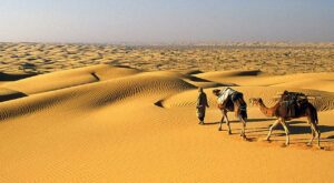 le désert tunisien