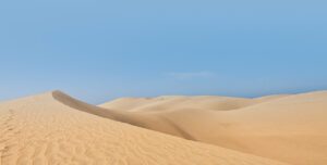 oasis