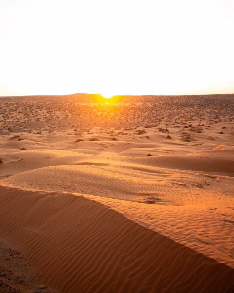 Excursion Djerba Désert