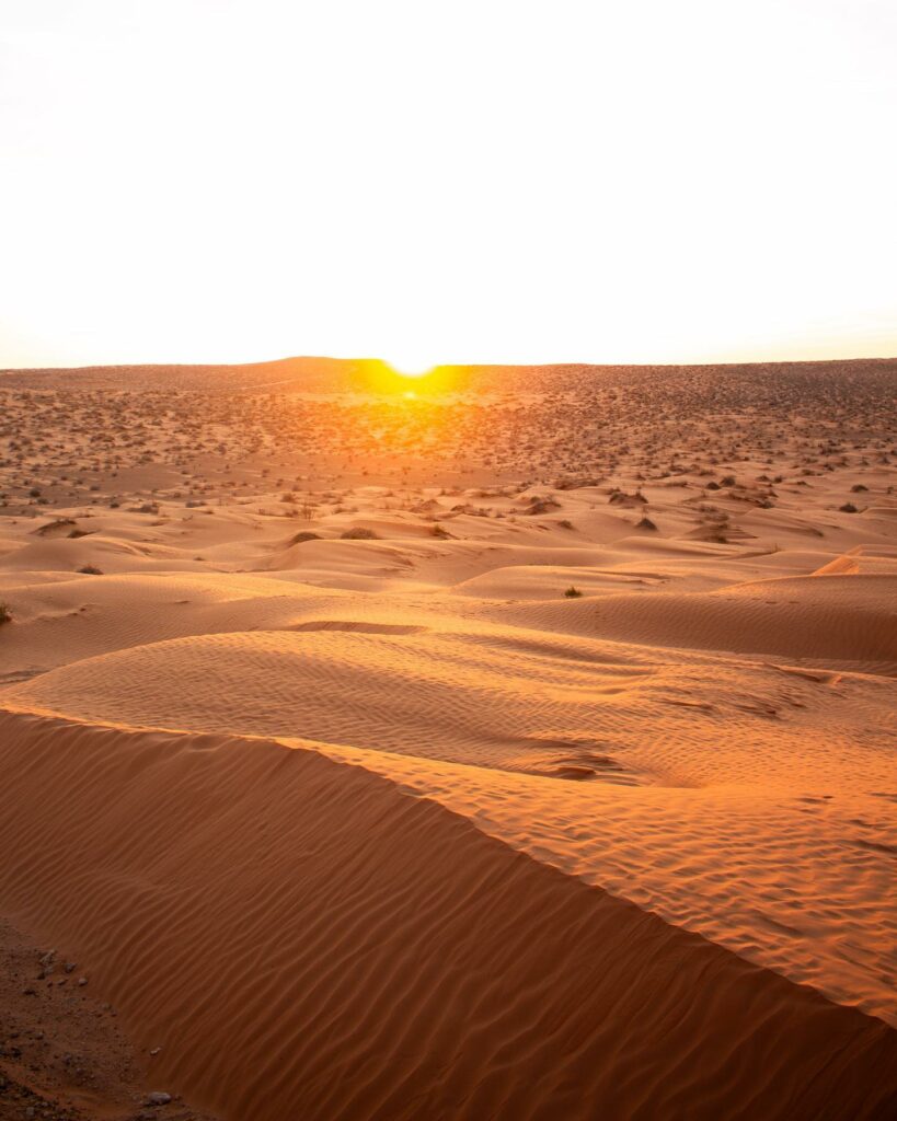 Excursion Djerba Désert