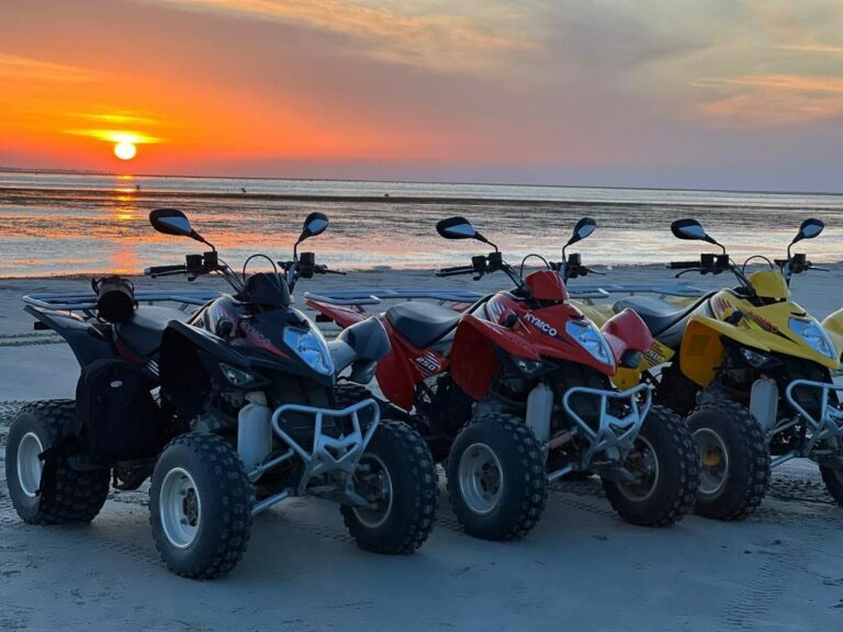 Excursion en quad à Djerba