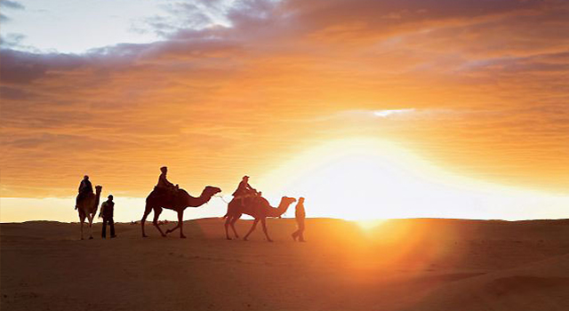 Découvrez le sud Tunisien