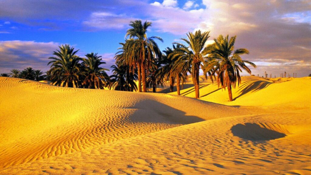 Excursions et circuits à Djerba et dans le Sud de la Tunisie