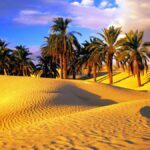 Excursion au Grand Sud Tunisien