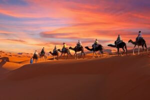Excursion au départ de Djerba