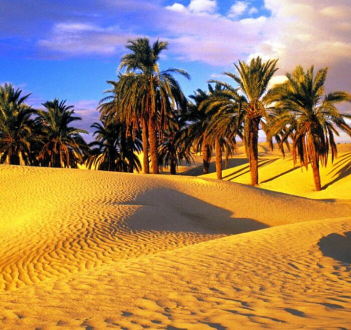 Excursion au Grand Sud Tunisien