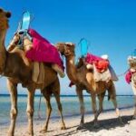 Guide de Djerba Activités à Djerba