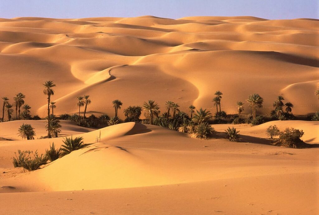 Excursions et Activités au Départ de Djerba