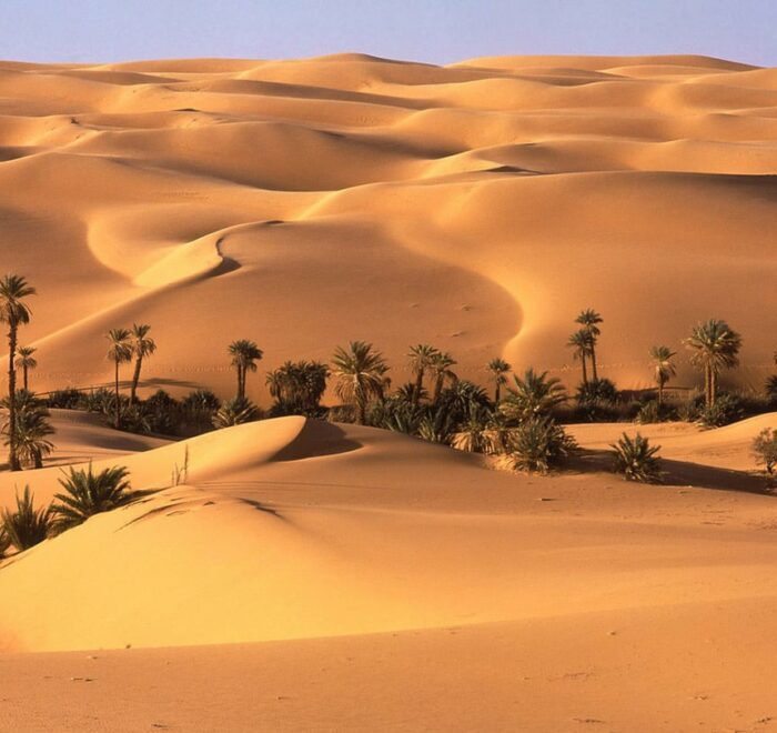 Sud Tunisie Sud Tunisie