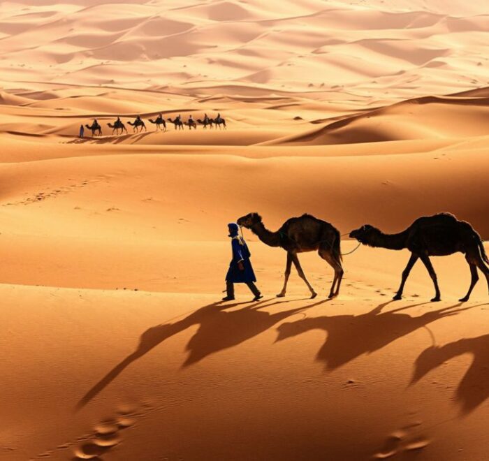 circuit au sud de tunis