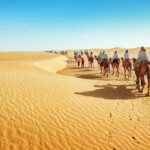 circuit sud tunisien circuit sud tunisien