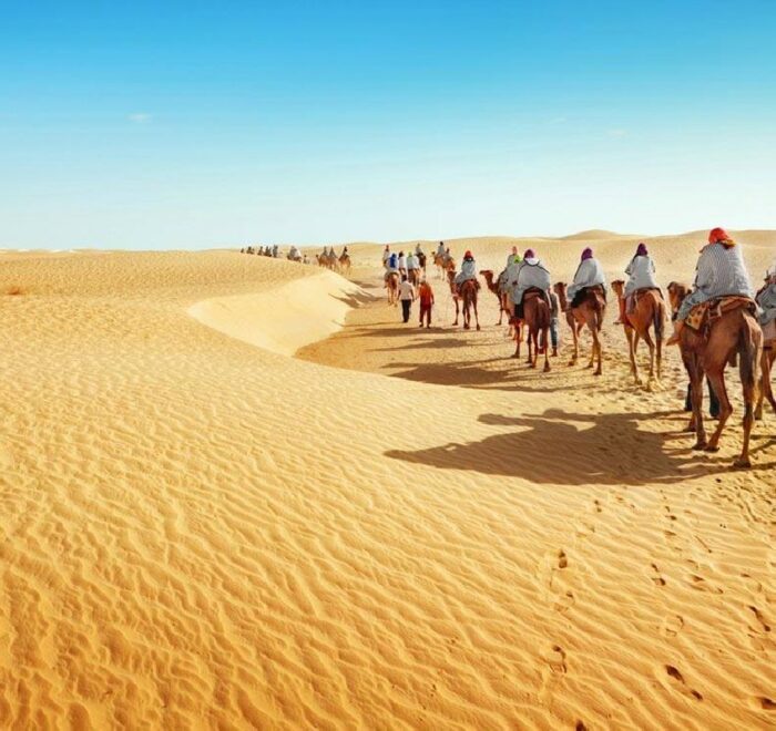 circuit sud tunisien