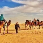 desert tunisien desert tunisien