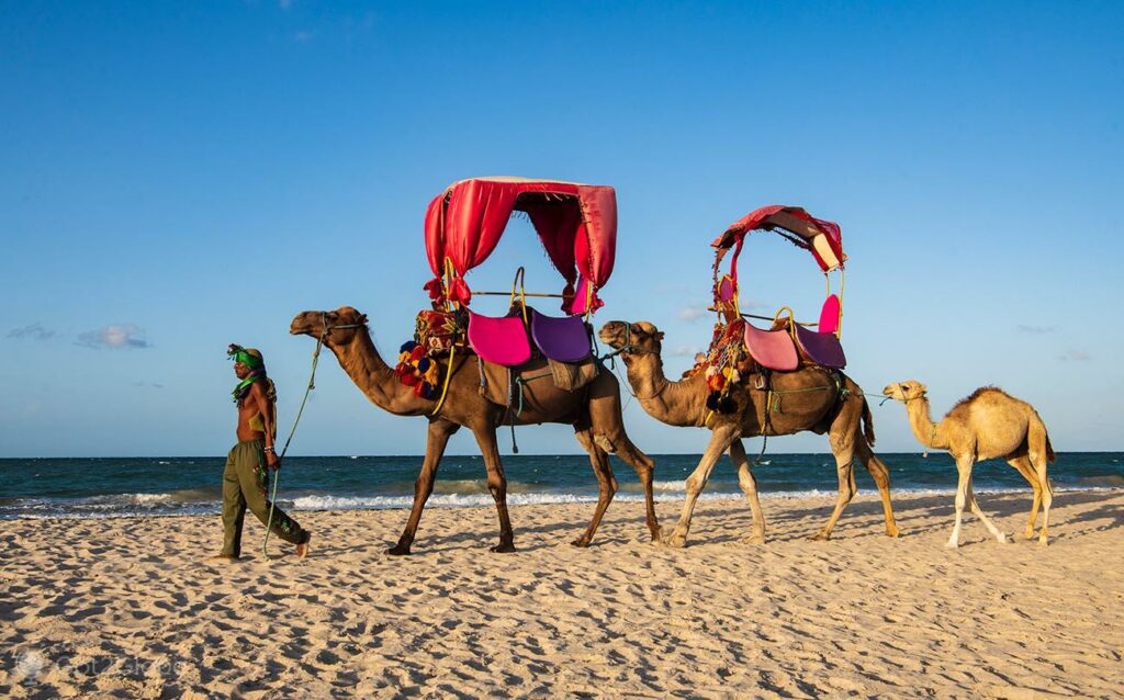 Excursion à partir de Djerba