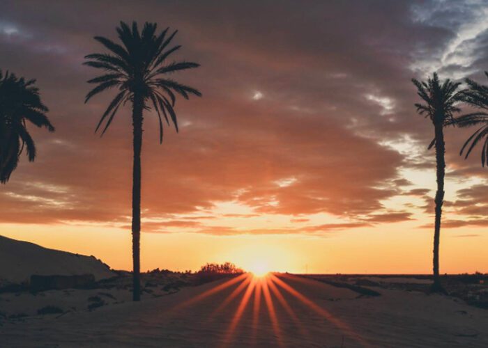 découvrez le sud de Tunis