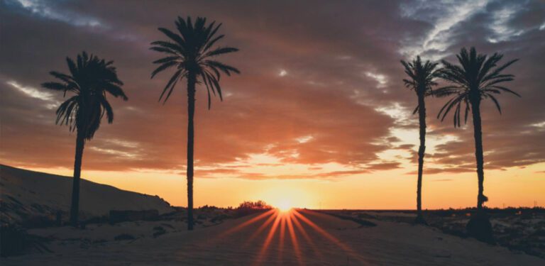 découvrez le sud de Tunis
