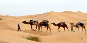 Découvrez le Sud Tunisien