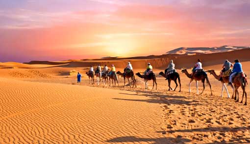 excursion à douz au départ de Djerba