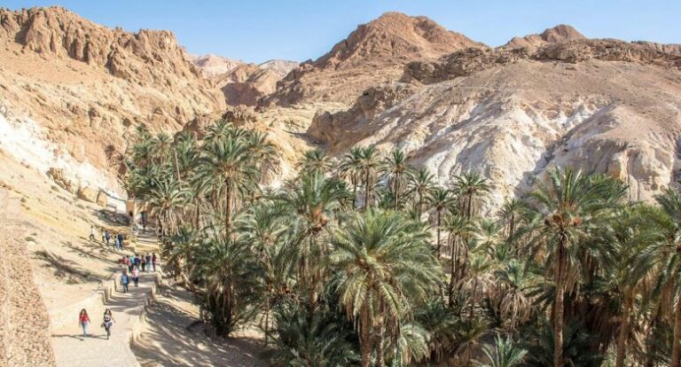 Excursions et activités au départ de Djerba