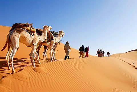 Sud Tunisien