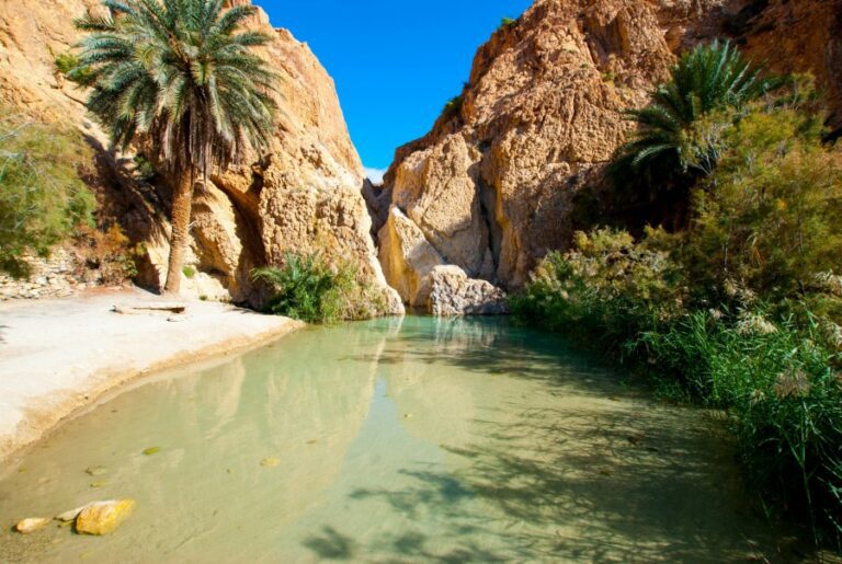 Excursion Tozeur depuis Djerba